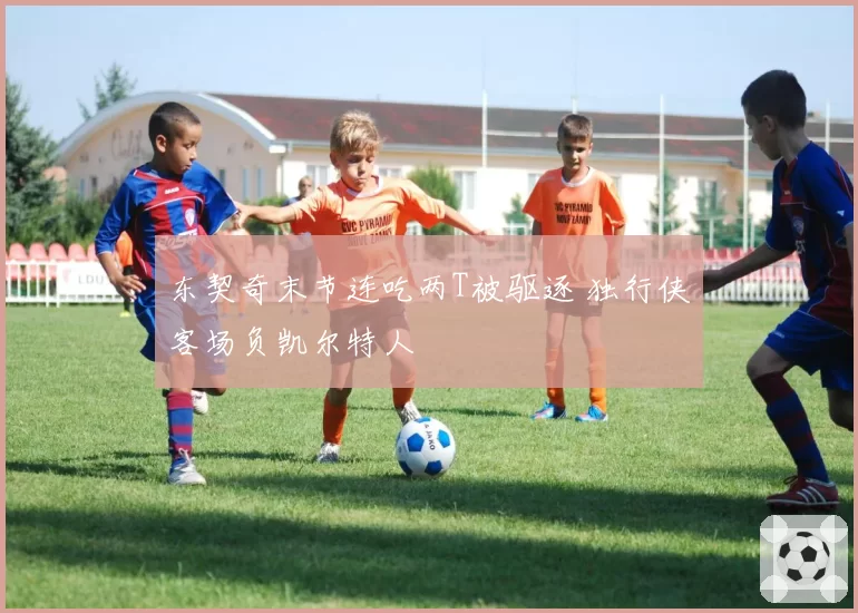 东契奇末节连吃两T被驱逐 独行侠客场负凯尔特人
