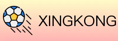 XINGKONG星空体育娱乐 logo